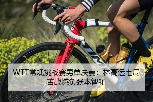WTT常规挑战赛男单决赛：林高远七局苦战憾负张本智和